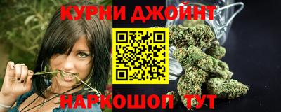 трава Кингисепп