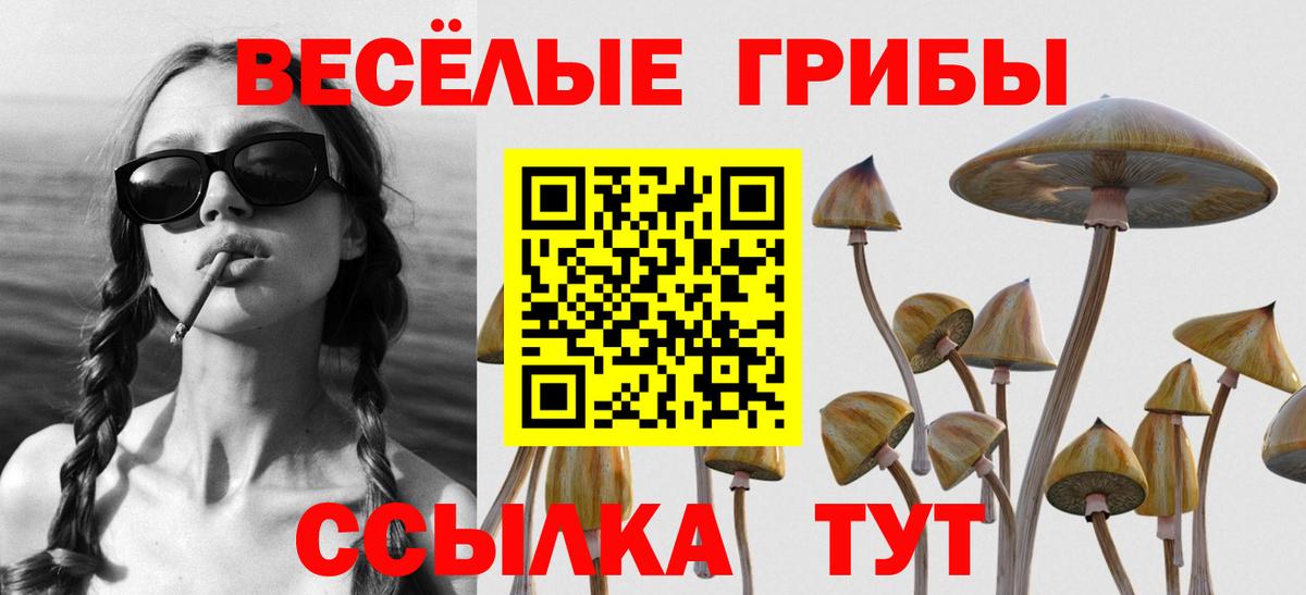 Псилоцибиновые грибы Magic Shrooms  Вход с VPN  Котовск 